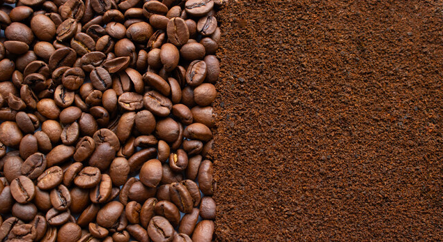 Are Coffee Grounds Good for Tomato Plants?