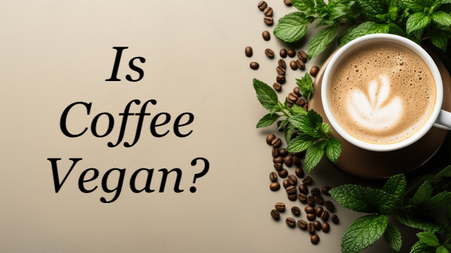 Is Coffee Vegan